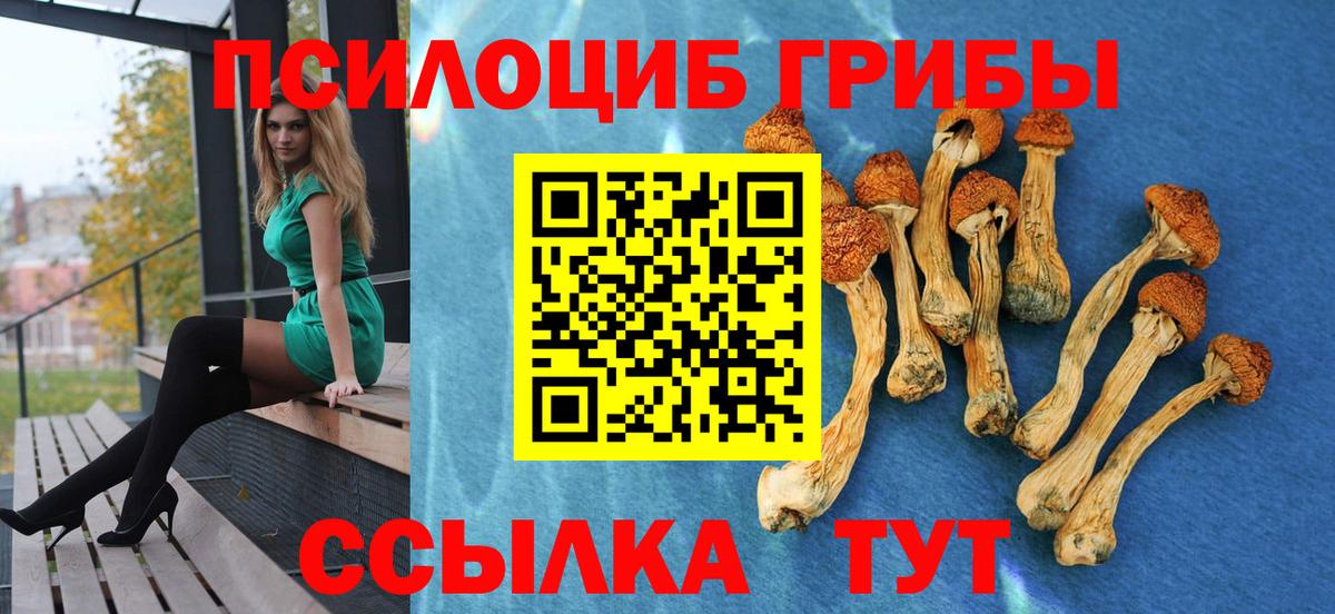 Галлюциногенные грибы Psilocybine cubensis Реж