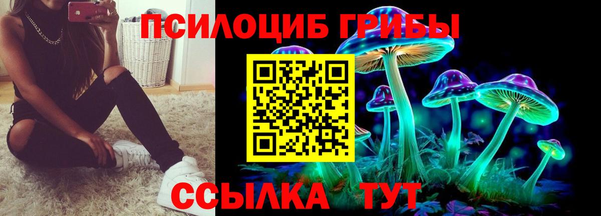 Реж  Галлюциногенные грибы Magic Shrooms  Вход с VPN 